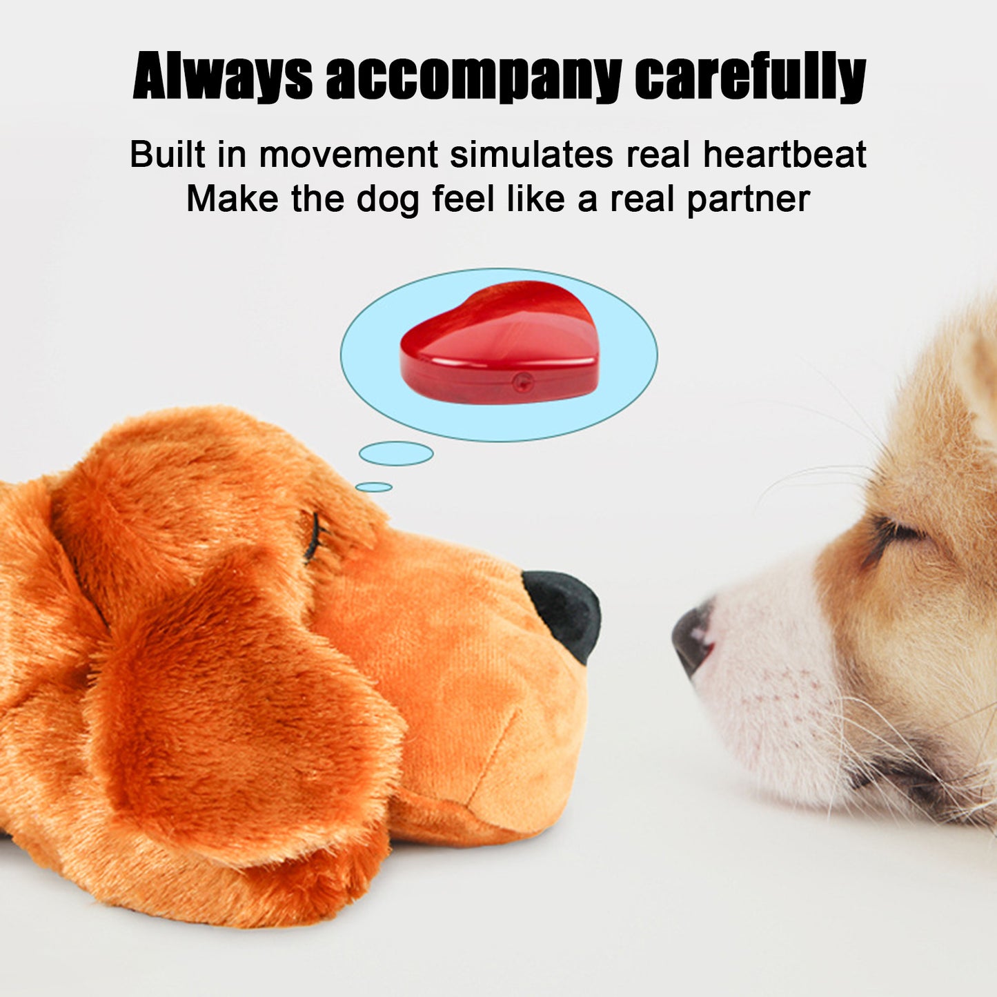 Fashion Hot Selling Pet Comfort Toys